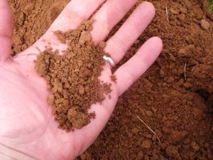 Jory Soil